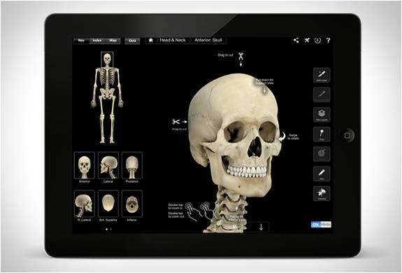 app-sistema-esqueleto-2.jpg | Image