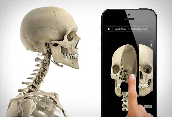 App Sistema Esqueleto - Skeleton System Pro Iii | Image