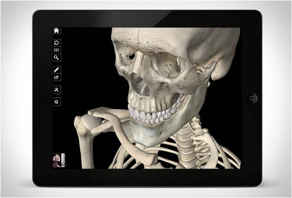 app-sistema-esqueleto-4.jpg | Image