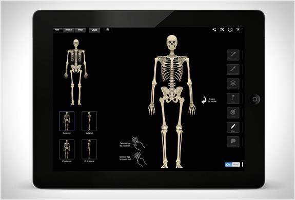 app-sistema-esqueleto.jpg | Image