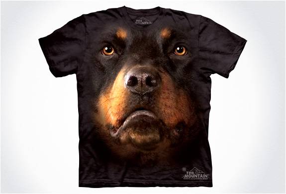 camisetas-cara-de-cachorro-4.jpg | Image