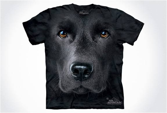 camisetas-cara-de-cachorro-5.jpg | Image