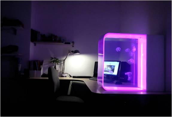 cubic-desktop-jellyfish-aquarium-2.jpg | Image