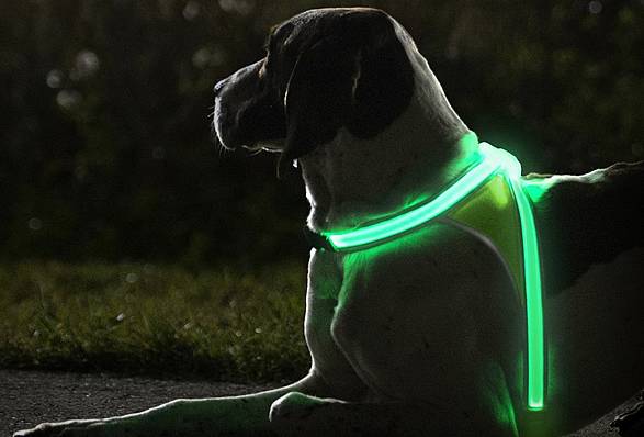 lighthound-2.jpg | Image
