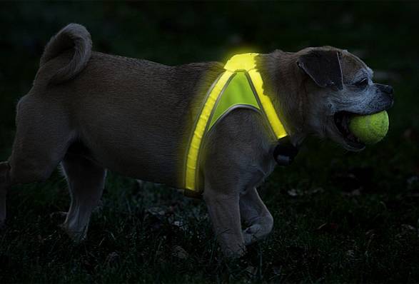 lighthound-4.jpg | Image