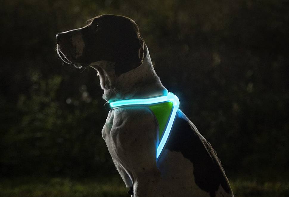 Colete Lighthound Para Cães | Noxgear | Image