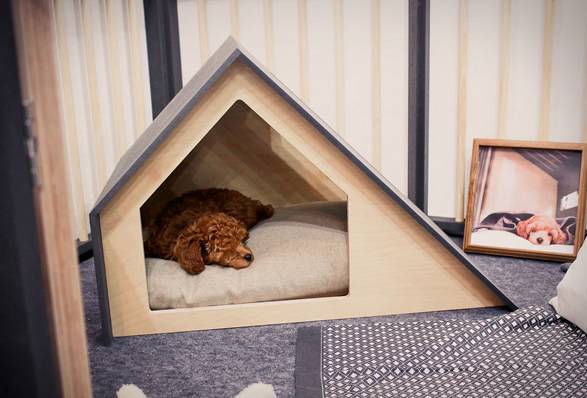 minimalist-dog-houses-5.jpg | Image