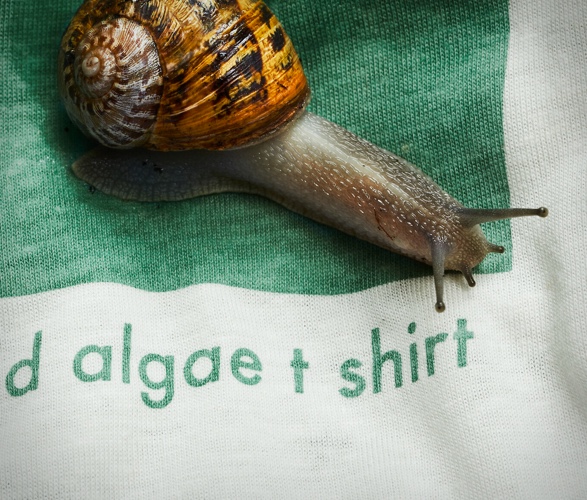 vollebak-plant-and-algae-t-shirt-3.jpg | Image