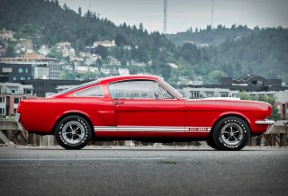 Que tal um carro clássico na sua garagem - Shelby Mustang GT350