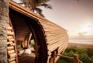 Resort Casa na Árvore Playa Viva