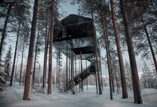 Arquitetura - Casa na Árvore - O Sétimo Quarto
